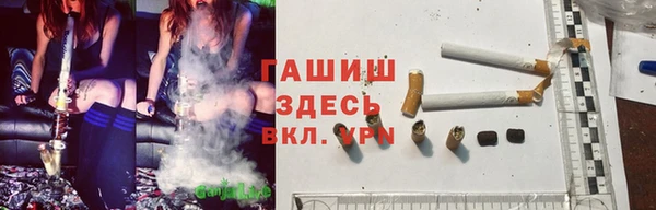 spice Абаза