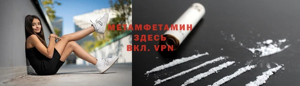 прущие грибы Абинск