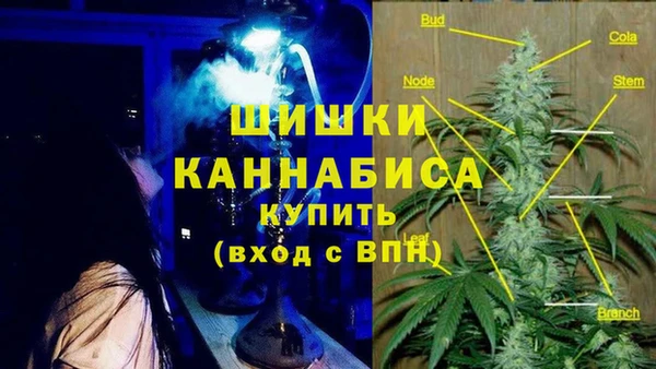 прущие грибы Абинск