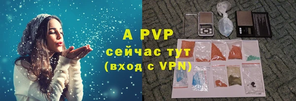 прущие грибы Абинск