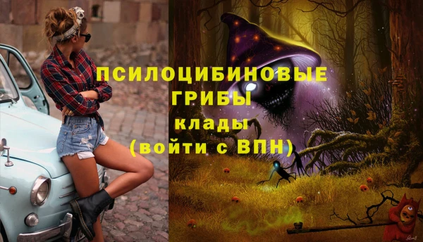 прущие грибы Абинск