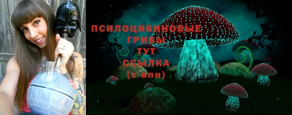 прущие грибы Абинск
